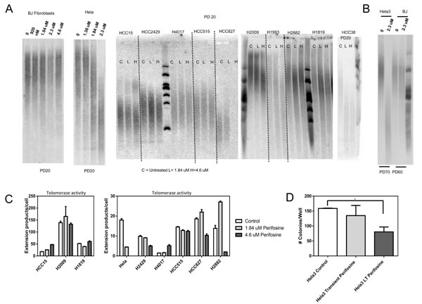fig1