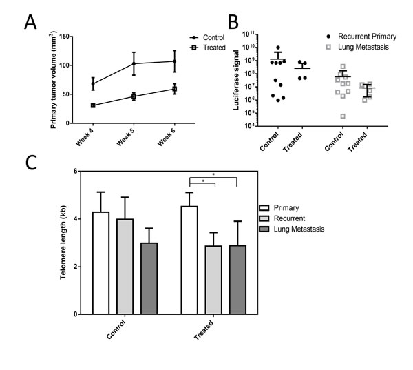 fig2