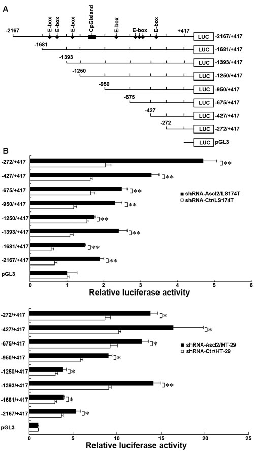 fig3