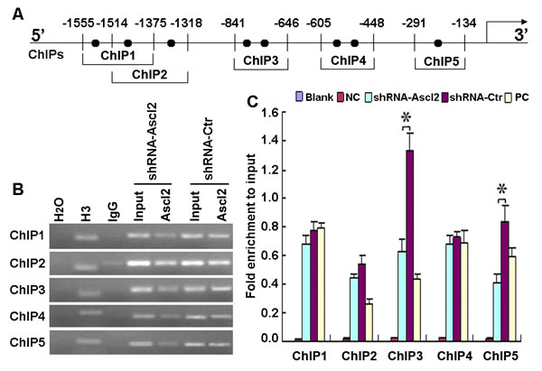 fig4