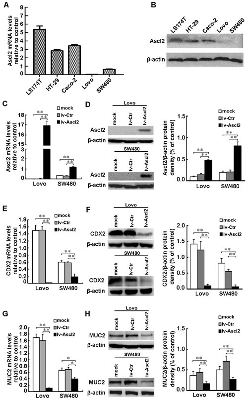 fig6