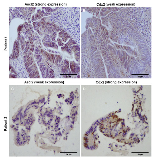 fig8