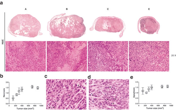 fig9