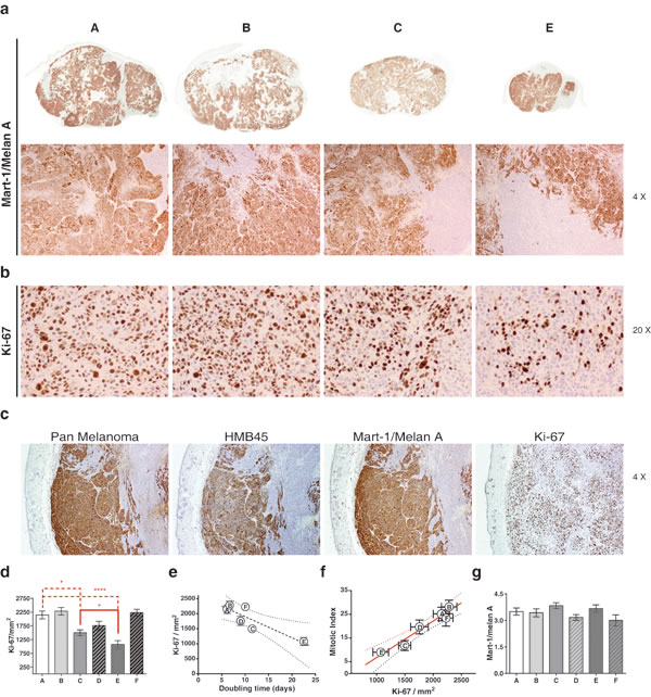 fig10