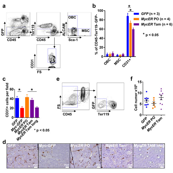 fig4
