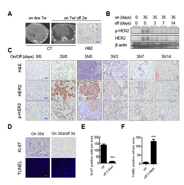 fig3