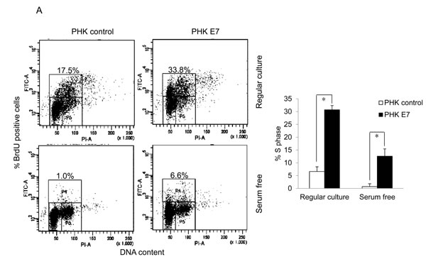 fig1a