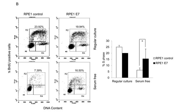 fig1b