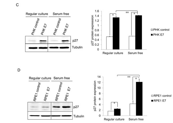fig1c