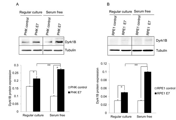 fig2a