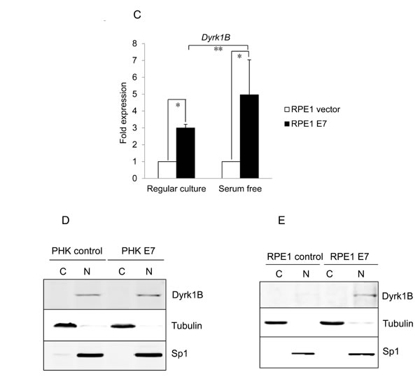 fig2c