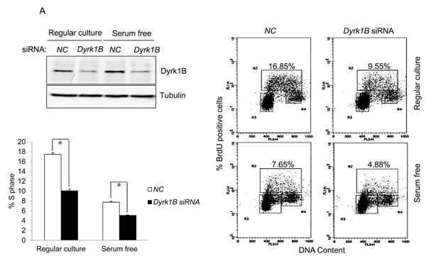 fig3a