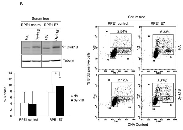 fig3b