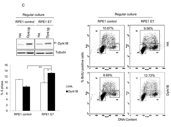 fig3c