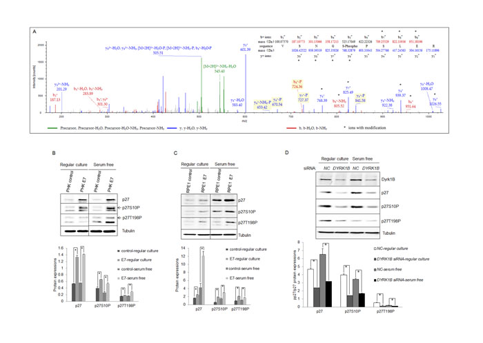 fig4