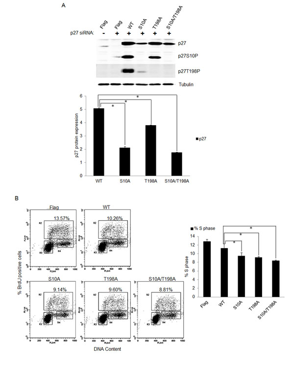 fig5