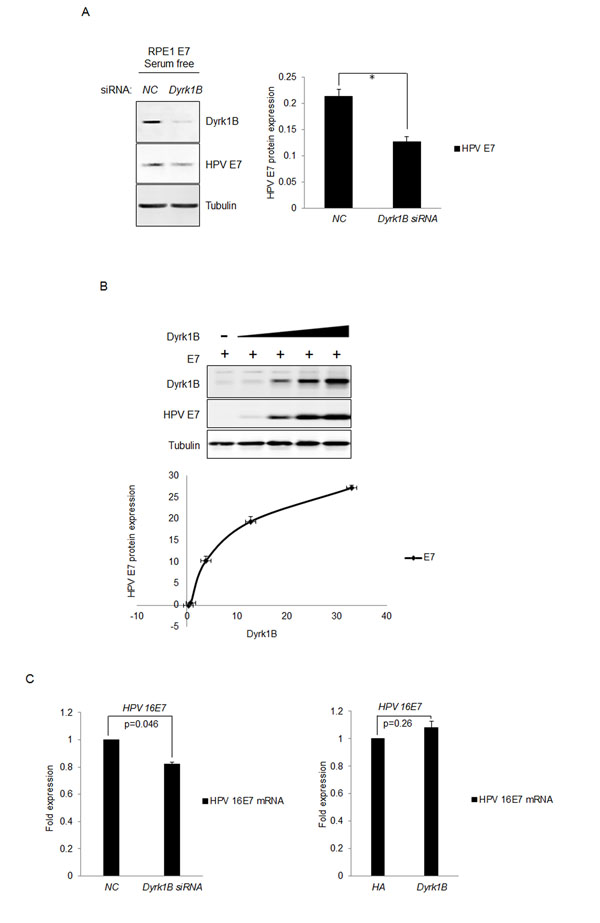 fig6