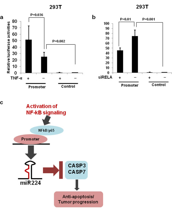 fig6