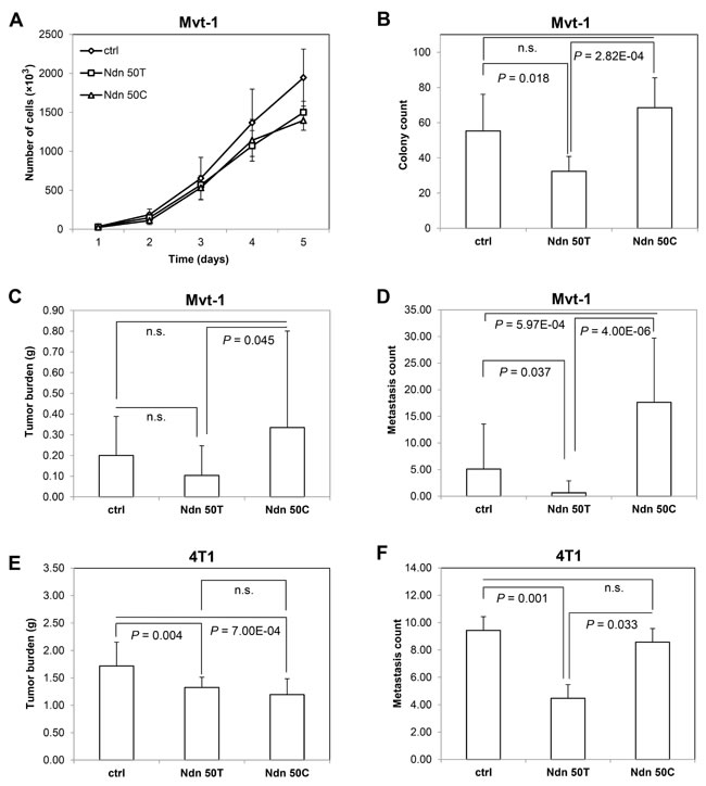 fig2