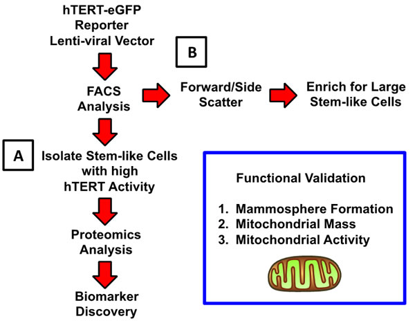 fig1