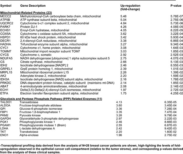 Table4