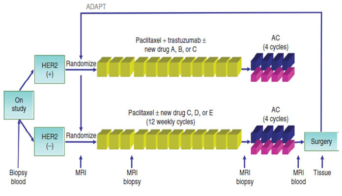 fig2