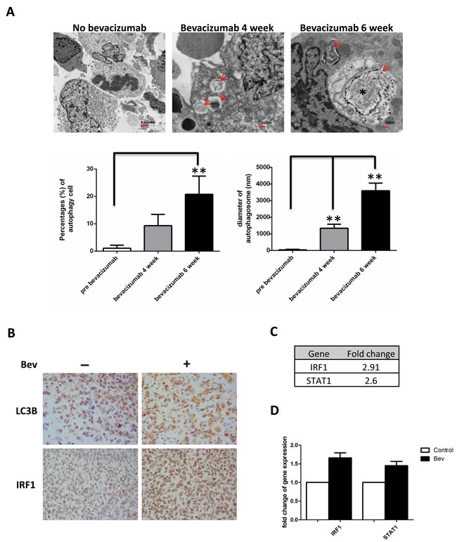 fig1