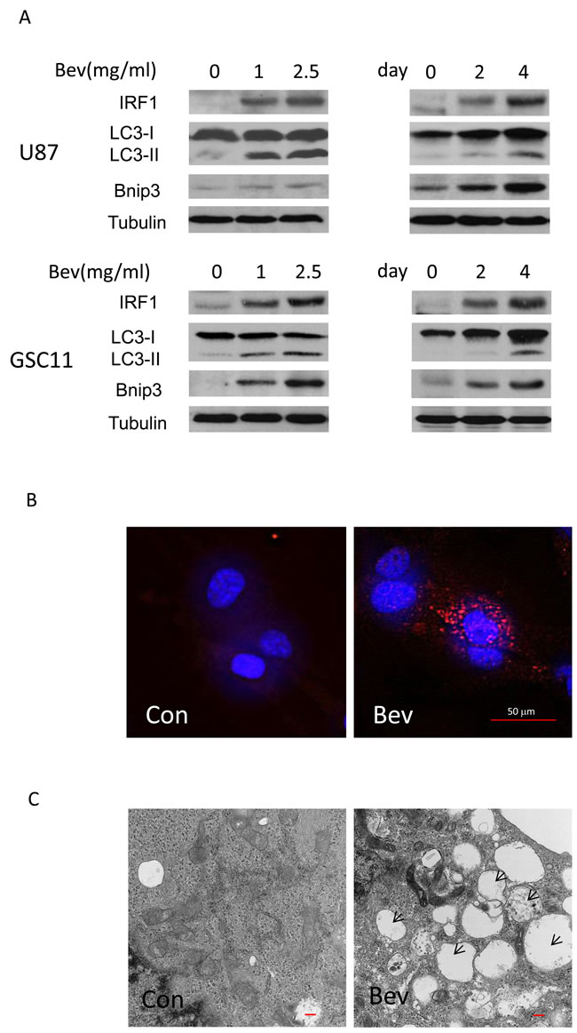 fig2