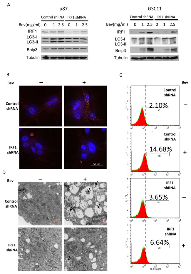 fig3
