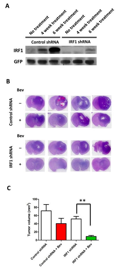 fig5