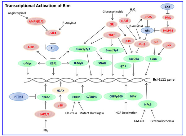 fig4