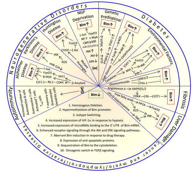 fig8