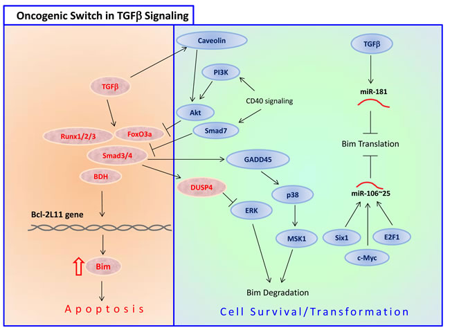 fig10