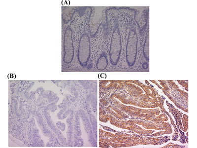 fig1