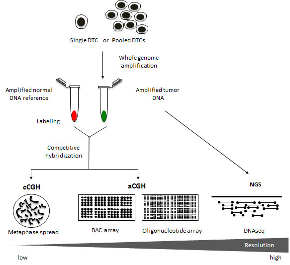 fig2