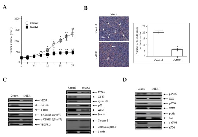 fig6