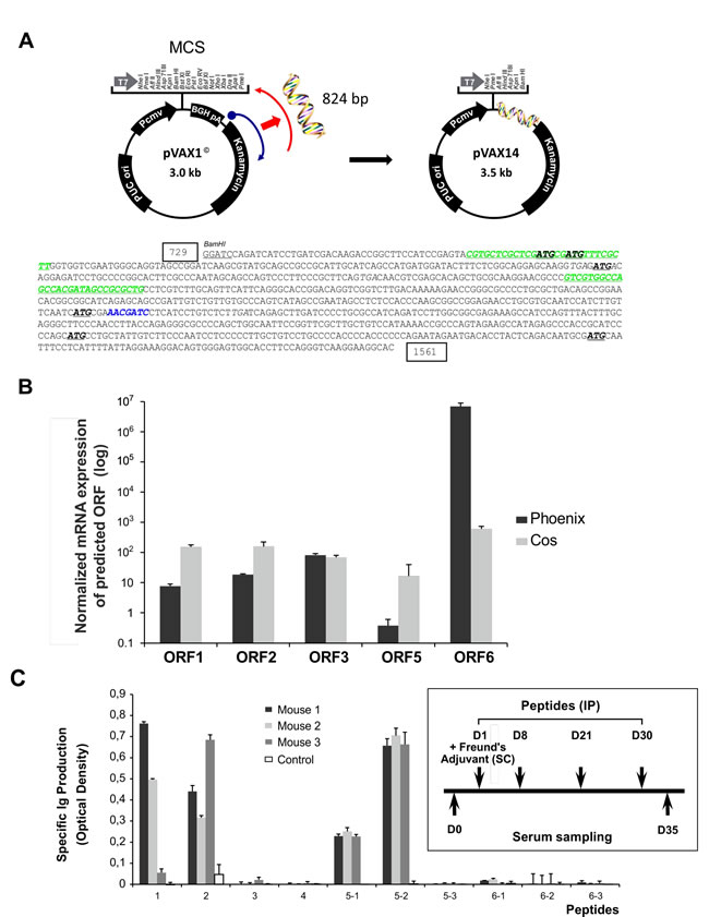 fig3
