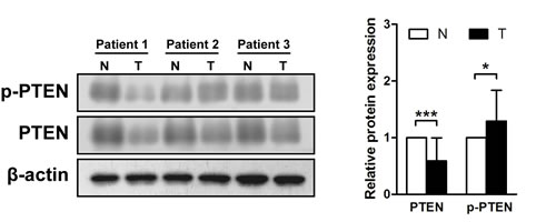 fig1