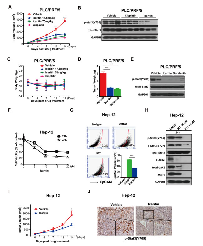 fig6