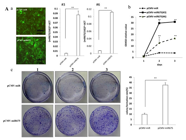 fig1a