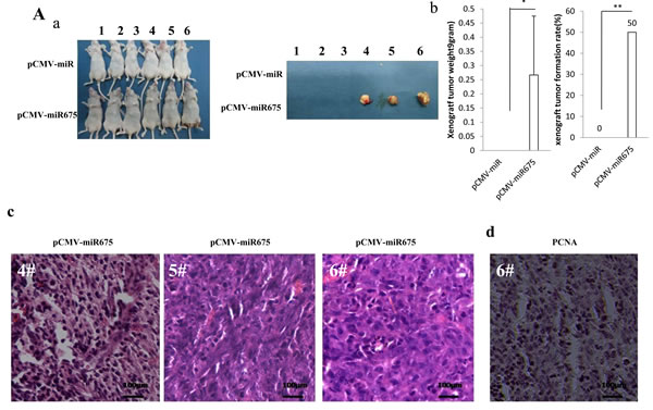 fig2a