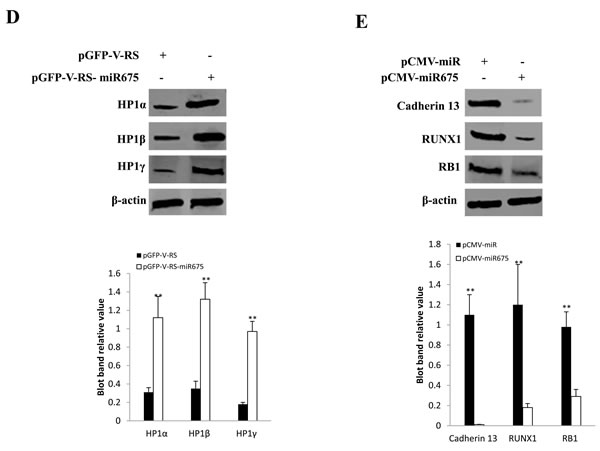 fig3b