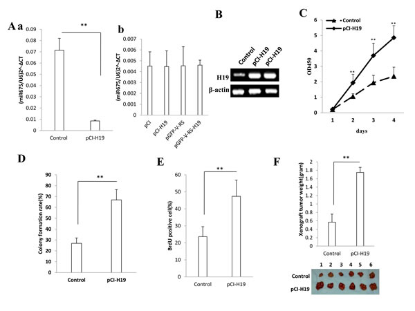 fig6a