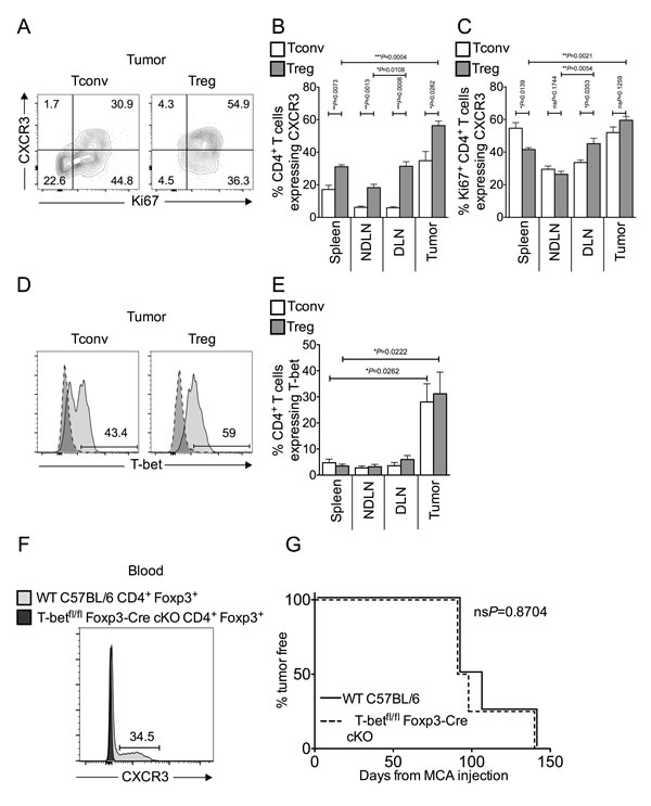 fig2