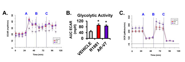 fig2
