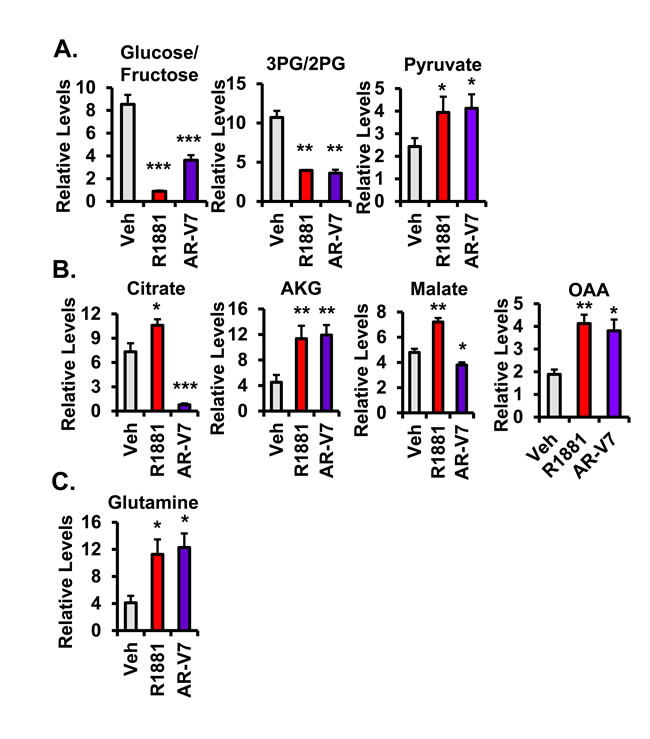 fig4