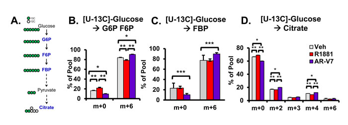 fig6