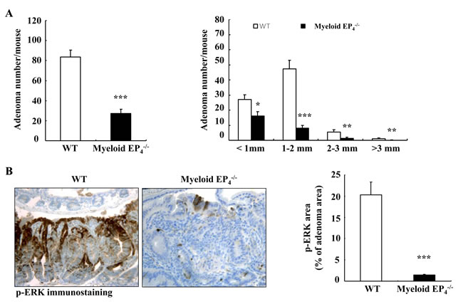 fig2a