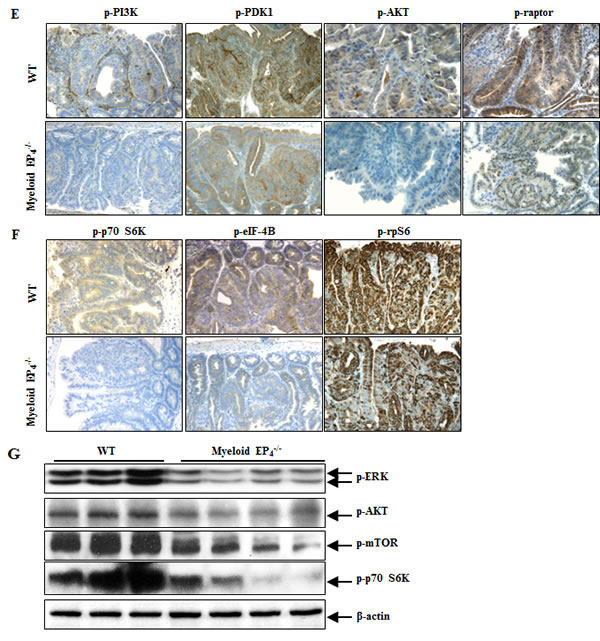 fig2c