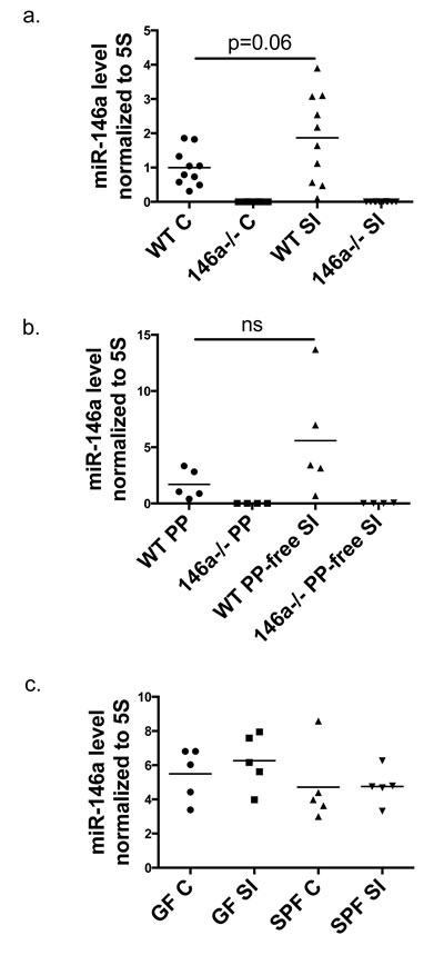 fig1
